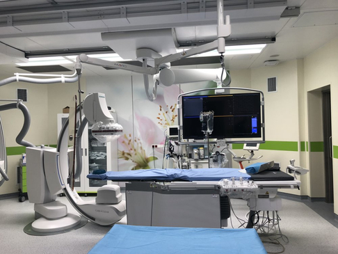 Slider image (7) Liv Bona Dea Hospital in Baku, Azerbaijan 